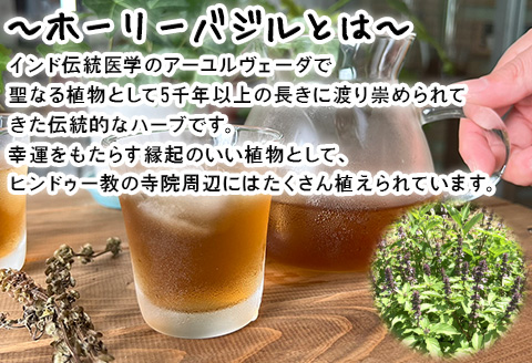 ホーリーバジルティー（2g×12包)×2袋 トゥルシーティー ハーブティー ノンカフェイン ティーバッグ ホーリーバジル 手摘み お茶 唐津産