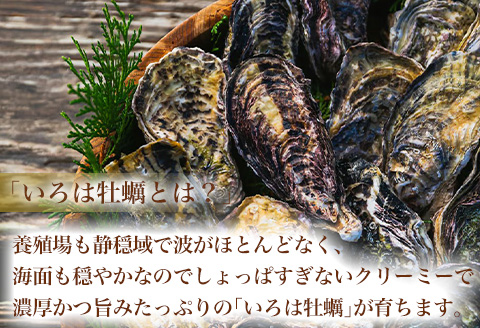 『先行予約』【12月中旬より順次発送】唐津産 殻付きいろは牡蠣 2kg(軍手・ナイフ付)期間限定 産地直送 殻付き 牡蠣 カキ 殻付き牡蠣 佐賀県 海鮮 BBQ 加熱用 お取り寄せ 贈り物 冬ギフト ギフト