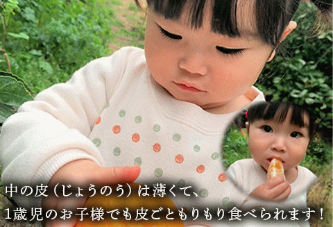 『予約受付』【令和6年2月下旬発送】こだわりの「ハウスデコ(しらぬい)」贈答箱1kg デコポン 不知火 ミカン みかん 柑橘 ギフト