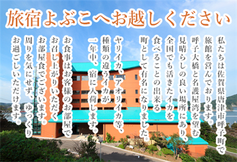 平日限定2名様素泊りご宿泊券 旅行 ギフト