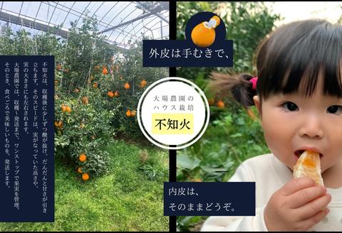 『先行予約』【令和8年1月下旬発送】唐津産ハウス育ち「不知火」1kg 贈答箱・ギフトボックス入り  ～海と空と、みかん～ デコポン ミカン みかん 柑橘 ギフト