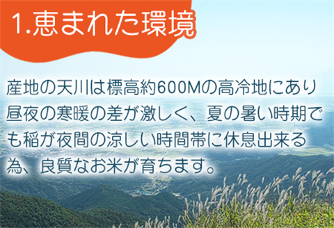 『先行予約』【令和6年産】特別栽培米 【一等米】 唐津市天川産 こしひかり 5kg×2 (合計10kg) 減肥減農薬で育てた特別栽培米をお届け たんぱく質が少なく食味が良いお米