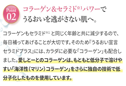 うるおい宣言セラミドプラスα アサイー味 1箱 30本入 約1ヶ月分 コラーゲンゼリー 脂質ゼロ スティック