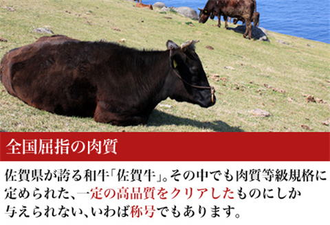 【2月より順次発送】厳選佐賀牛 牛ミンチ 250g×4(合計1kg) 佐賀牛100％使用！ご家庭でお好きな料理に大変身！ハンバ－グ ミートソース そぼろ 小分け ひき肉