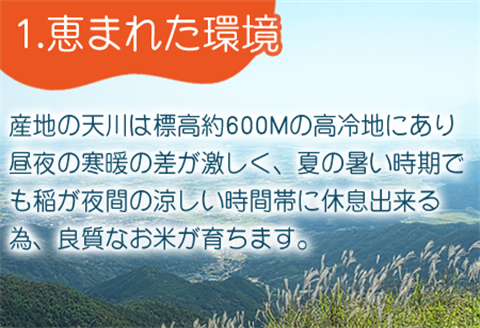 『先行予約』【令和6年産】特別栽培米 【一等米】 唐津市天川産 こしひかり 5kg 減肥減農薬で育てた特別栽培米をお届け たんぱく質が少なく食味が良いお米