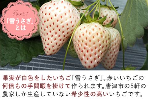『先行予約』【令和8年1月より順次発送】白いちご 雪うさぎ 450ｇ入り化粧箱（佐賀県唐津市限定生産）苺 イチゴ 希少 果物 フルーツ