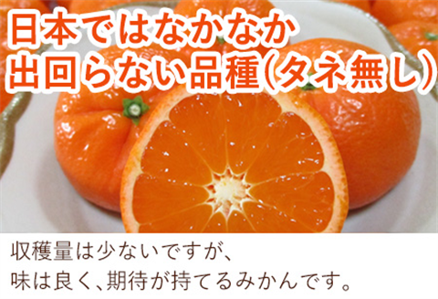 『先行予約』【令和8年2月中旬発送】マーコット（ハウス栽培）唐津産 5kg みかん ミカン 果物 フルーツ