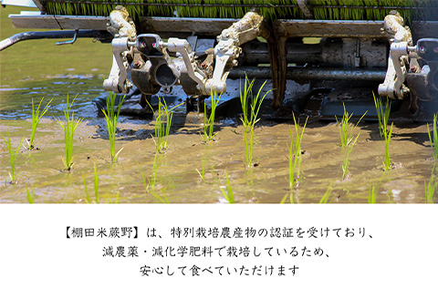 特別栽培棚田米「蕨野」5kg×3袋(合計15kg) 家庭排水が一切入らない自然水で作られたお米 10日に1回精米で新米のような味わい