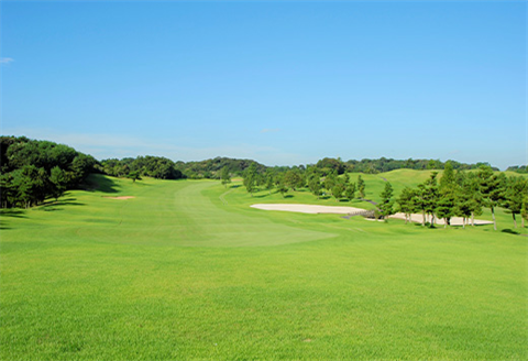 唐津ゴルフ倶楽部 土日祝セルフプレー券(昼食付)1名様分 ゴルフ チケット 佐賀