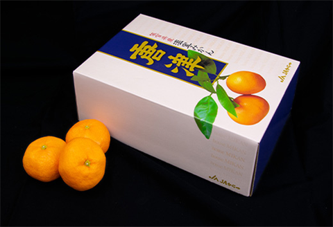 『先行予約』【6月下旬発送予定】唐津産 温室みかん 1.8kg 化粧箱 ハウスみかん ミカン 果物 フルーツ ギフト