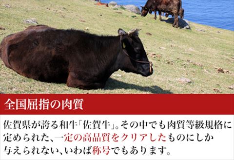 厳選佐賀牛 サーロインステーキ180g リブローススライス300g 2種(合計480g)セット「2024年 令和6年」