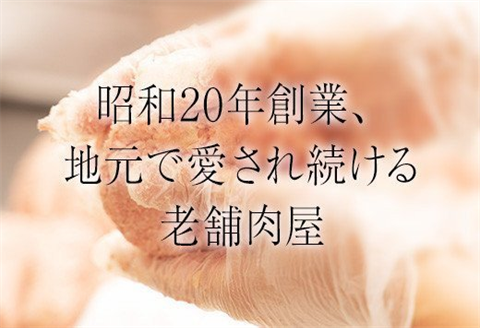 昭和20年創業老舗の極みハンバーグ12個(1.8kg) 佐賀牛 佐賀県産豚肉 お弁当 夕食 個包装