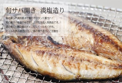 グルメ大賞受賞 唐津産 旬のひもの三昧セット 唐津産 旬サバ 旬アジみりん 金時鯛一夜干し(旬の白身魚干物)呼子 イカ一夜干し 大分産真イワシ丸干し トロあじ開き 6種17尾 干物