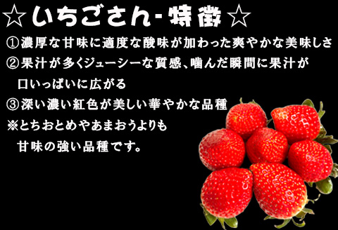 『先行予約』【令和8年4月より順次発送】唐津産 いちごさん 約250g×8パック(合計約2kg) 濃厚いちご 苺 イチゴ 果物 フルーツ