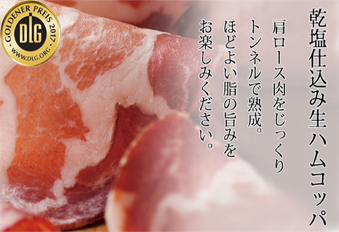 匠のイチ押し 8点セット (合計約650g) ポケットン・サラミ・ハム・ベーコンなど 合成添加物不使用 詰合せ おつまみ おかず 贈答用 ギフト