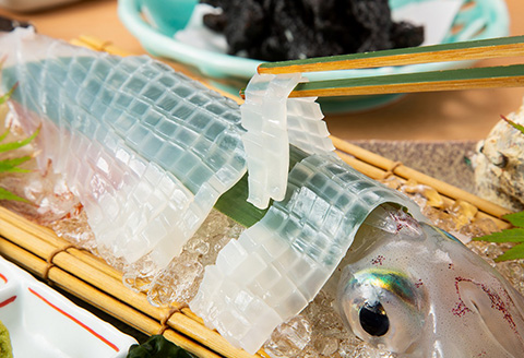 活イカ姿造り小サイズ(140g前後)2杯セット！鮮度抜群 捌きたて瞬間冷凍 いか活造り 刺身 簡単 呼子 ギフト