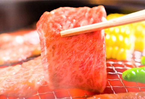 訳あり！艶さし！【A4～A5】佐賀牛焼肉切り落とし 500g BBQ バーベキュー 焼き肉 お肉 牛肉 アウトドア