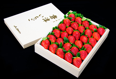 『先行予約』【1月中旬より順次発送】佐賀県唐津市「いちごさん」桐箱 800g いちご 苺 イチゴ 桐箱 ギフト