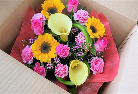 「全6回定期便」季節のアレンジメントフラワーをご寄付の翌月から6回お届け 贈り物やご自宅に 生花 誕生日 プレゼント ギフト おまかせ