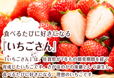 冷凍いちご(いちごさん) 500g×2袋(合計1kg)急速冷凍 新鮮 苺 フルーツ デザート 果物 アイス