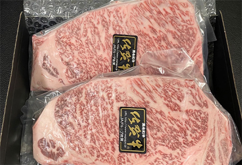 佐賀牛サーロインステーキ 250g×2枚(合計500g) 牛肉 ステーキ BBQ アウトドア
