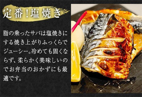 小分け塩さば切身 約30gの10切袋×5パック(約1.5kg）サバ 鯖 お弁当 おかず 焼くだけ 簡単調理