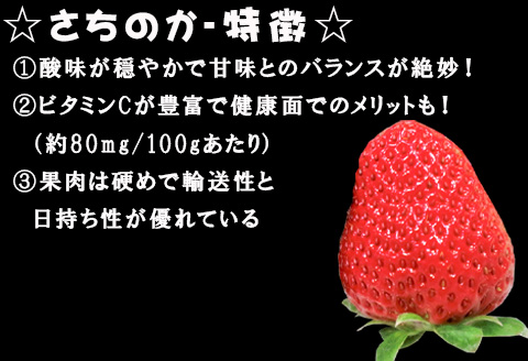『先行予約』【令和8年2月より順次発送】濃厚苺 さちのか 250g×8パック(合計2kg) 濃厚いちご 苺 イチゴ 果物 フルーツ ビタミン