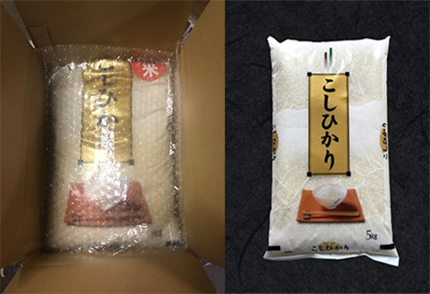 『先行予約』【令和6年産】佐賀県唐津市上場産こしひかり 5kg つやと張りがあり、粘りが強い甘みのあるお米 精米したてをお届け