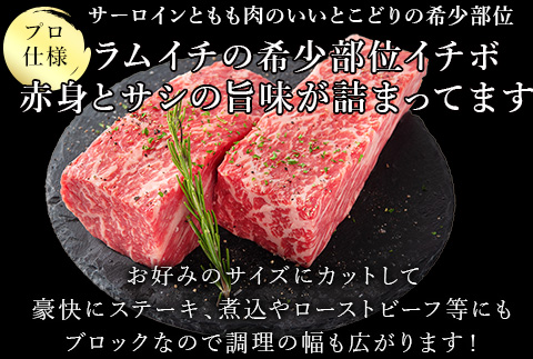 《プロシリーズ》佐賀牛赤身とサシの極み”希少部位イチボ”ブロック500g 牛肉 ステーキ ローストビーフ ギフト 黒毛和牛 すき焼き 希少部位 焼肉 自宅 BBQ アウトドア 「2024年 令和6年」