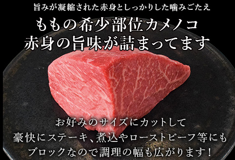 《プロシリーズ》佐賀牛赤身の極み"希少部位カメノコ”ブロック500g 牛肉 ステーキ ローストビーフ ギフト 黒毛和牛 すき焼き しゃぶしゃぶ 希少部位 焼肉 自宅 BBQ アウトドア