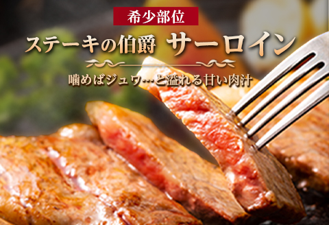佐賀牛 サーロインステーキ 300g×3枚(合計900g) ステーキ 霜降り ギフト 焼肉 BBQ キャンプ 黒毛和牛 冷凍 小分け アウトドア