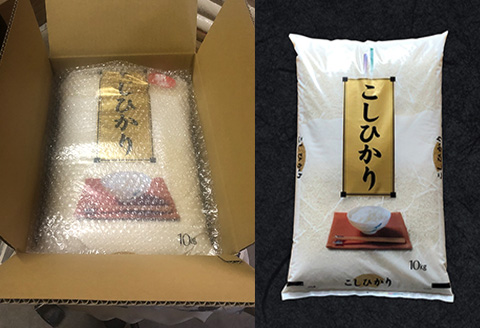 『先行予約』【令和6年産】佐賀県唐津市上場産こしひかり 10kg つやと張りがあり、粘りが強い甘みのあるお米 精米したてをお届け