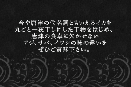 (唐津産) イカの一夜干しも付いた干物6種 やりいか一夜干し アジ開き いわしみりん アジミリン さばみりん干し 塩サバ (合計12枚) おかず おつまみ ギフト