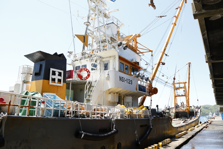 大きくて脂ののった国産塩さば 150g×10枚(合計1.5kg) おかず ギフト