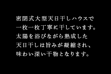 小あじの天日干し真空個包装セット 真あじ開き50g×30枚(合計1.5kg) おかず ギフト