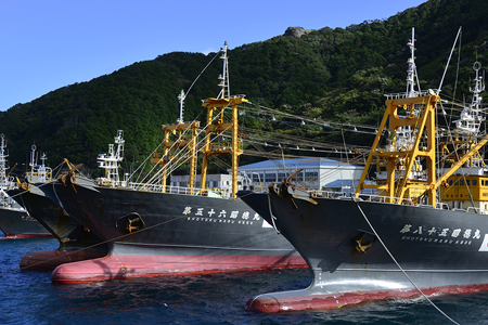 五島の天然ぶり詰合せ 1枚90g 全7枚でお届けします ぶりひと塩90g×2切 ぶり無塩90g×2切 ぶり吟醸味噌粕漬90g×2切 ぶりみりん醤油漬×1切 おかず ギフト