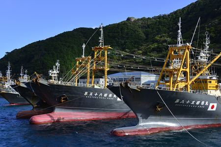 天然旬魚の吟醸味噌粕漬け 1枚80g~90g 全7枚でお届けします ぶり90g×2切 さわら90g×2切 真鯛80g×2切 さば90g×1切 おかず ギフト