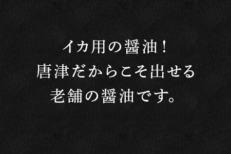 イカ野郎醤油 100ml×5本 (合計500ml) irodoriからつ四季の返礼品 いか専用醤油