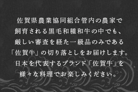 佐賀牛切り落とし 400g 牛肉 和牛 すき焼き 牛肉 カレー 肉じゃが 炒め物