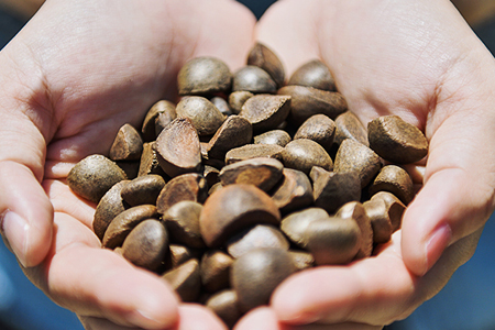 椿油化粧品 基本2点セット(椿油＆お試しサイズ洗顔石鹸) 無添加コスメ TBK基礎化粧品