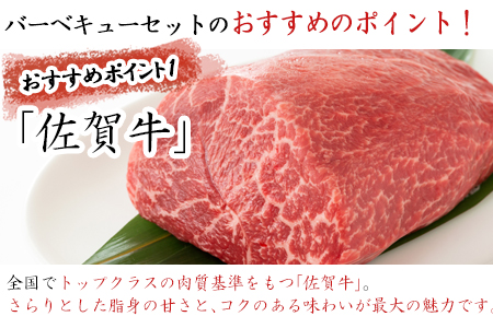 佐賀牛 華味鳥 九州産豚 BBQセット 3種 合計1.25kg アウトドア バーベキュー 牛肉 豚肉 鶏肉