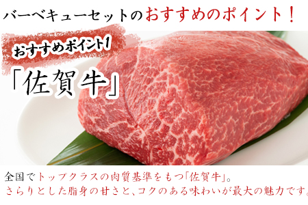 佐賀牛 華味鳥 BBQセット 2種 合計850g アウトドア バーベキュー 牛肉 鶏肉