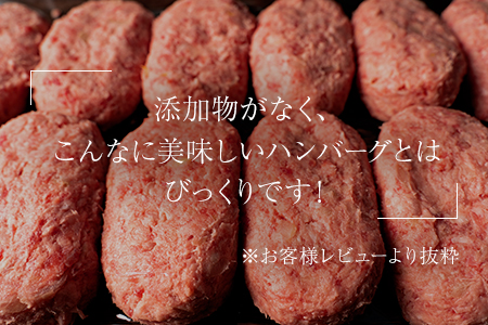 昭和20年創業老舗の極みハンバーグ10個(1.5kg) 佐賀牛 佐賀県産豚肉 お弁当 夕食 個包装
