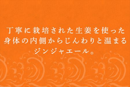 生姜濃縮 ジンジャエール 250ml×12本 生姜の味がギューッと1本に濃縮