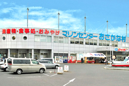 いか一夜干し 5枚セット(合計約600g) おさかな村 つまみ おかず