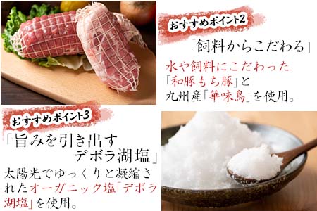 トンネル氷零下熟成ハム・ソーセージセット TPC-2  詰合せ おかず おつまみ サラミ 生ハム ベーコン セット ギフト