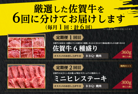 「定期便全6回」 佐賀牛 BBQや焼肉好きな方におすすめ 寄附翌月から発送 (合計3.46kg)A5～A4等級 ギフト 贈り物 アウトドア