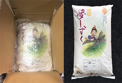 『先行予約』【令和6年産】佐賀県唐津市産夢しずく 10kg 程よい粘りと優れた食味 時間をかけてゆっくり精米することでふっくらつやつや炊き上がる