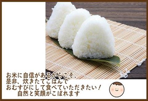 【令和6年産】山間米 コシヒカリ 10kg 唐津 七山