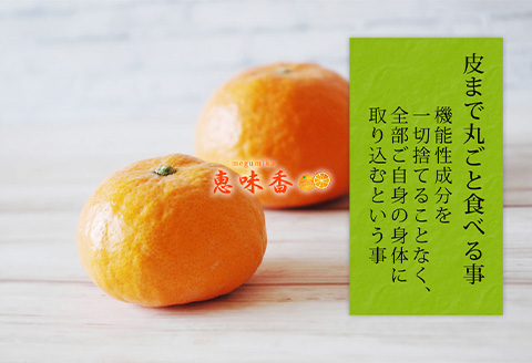 『先行予約』【令和8年2月上旬発送】果皮も丸ごとガブッ！味香みかん 10kg 新種のミカン フルーツ 果物 デザート 柑橘